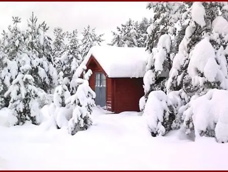 Escape To A Seaside Paradise Your Cozy Hideaway Eckero