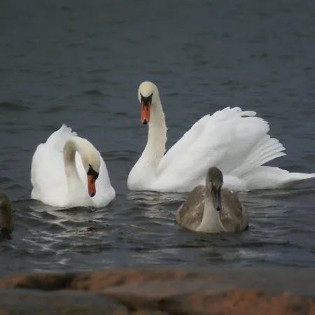 Escape To A Seaside Paradise Your Cozy Hideaway Вилла *