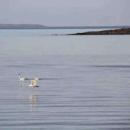 Escape To A Seaside Paradise Your Cozy Hideaway