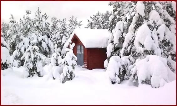 Escape To A Seaside Paradise Your Cozy Hideaway 埃克勒