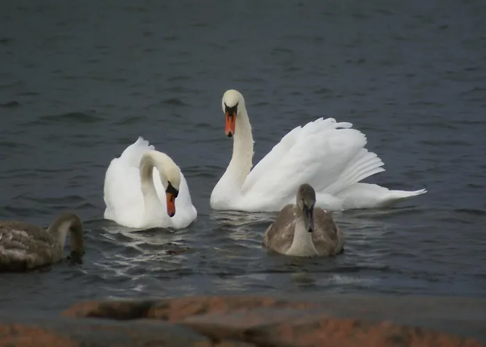 Escape To A Seaside Paradise Your Cozy Hideaway Вилла *