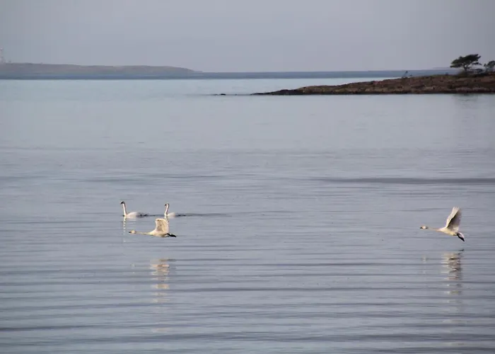 Escape To A Seaside Paradise Your Cozy Hideaway